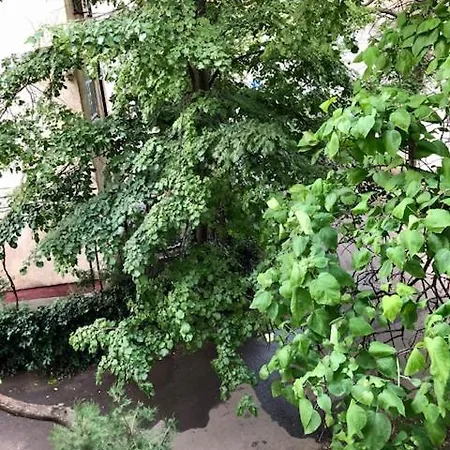 Wld House Apartment